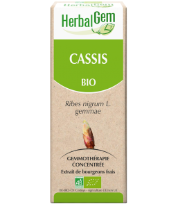 Cassis bourgeons 15ml 