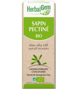 Sapin pectiné bourgeons 15ml 