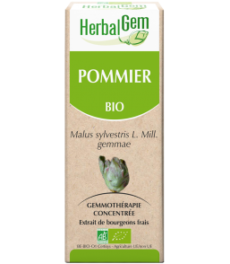 Pommier bourgeons 15ml